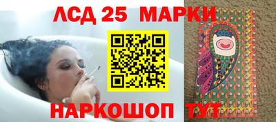 гидропоника Пушкино