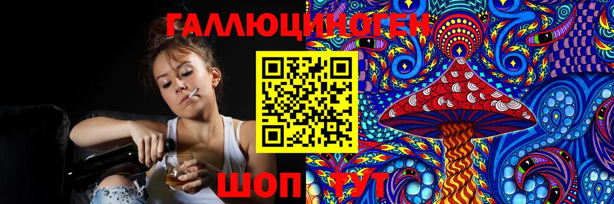Псилоцибиновые грибы Cubensis Сальск